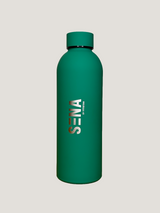 Stainless Steel Bottle